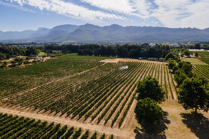 0 Bedroom Property for Sale in Val De Vie Estate Western Cape